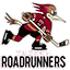 Tucson Roadrunners logo